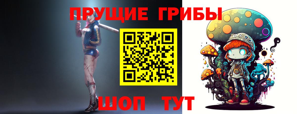 Галлюциногенные грибы Psilocybe  Вход с VPN  Псилоцибиновые грибы мицелий  Кисловодск 